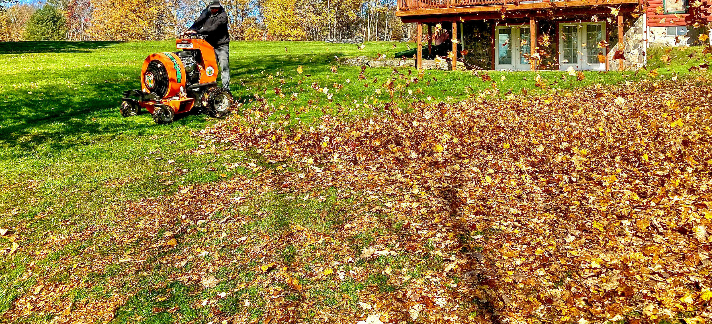 Landscaping crew clearing leaves from a landscaped property